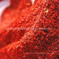 Hot Chilli Powder Supplier